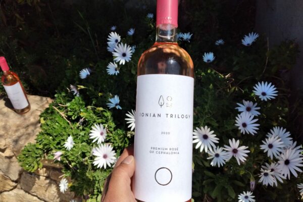 20210411_132358-1786x1080 20210411_132358-1786x1080